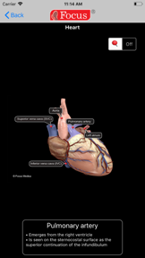 HEART -  Digital Anatomy screenshot