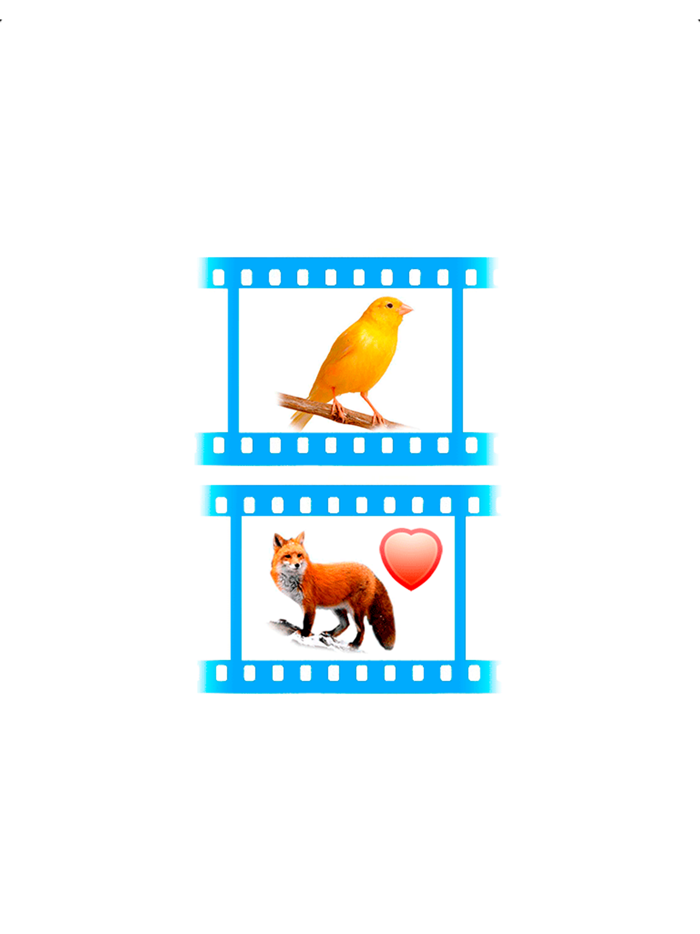 Sounds of Fauna. Animal voices