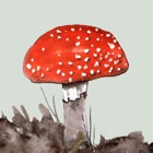 Top 37 Reference Apps Like Mushrooms & other Fungi UK - Best Alternatives