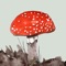 Developed by nature specialists, iSpiny, this app will help you identify mushrooms, toadstools and other fungi quickly and easily