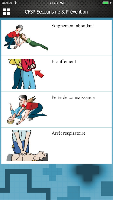 Screenshot #2 pour CFSP