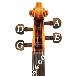 Violin Tuning Guide