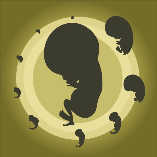 متابعة الحمل