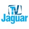 Com o aplicativo TV Jaguar você acompanha toda a programação da nossa TV em HD 24 horas por dia