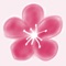 Take a walking tour of the historic Nihonmachi (Japantown) of Tacoma, WA
