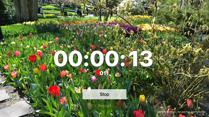 Screenshot #2 pour Kronos Timer