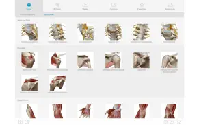 muscle premium iphone resimleri 2