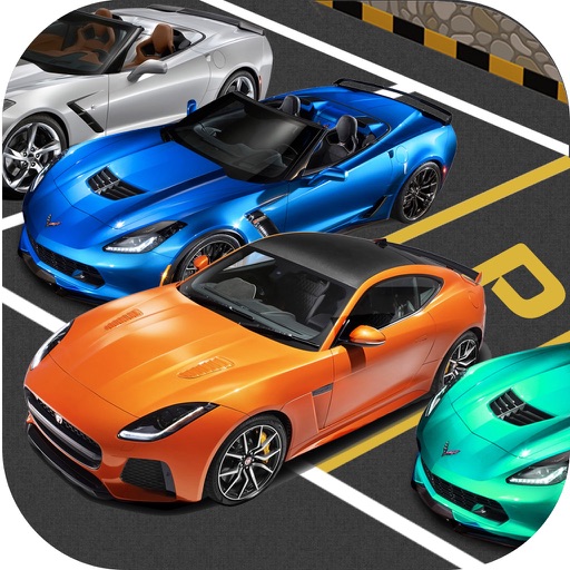 Car Parking 3D : Sports Car icon