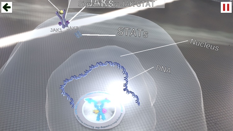 RA Augmented Reality