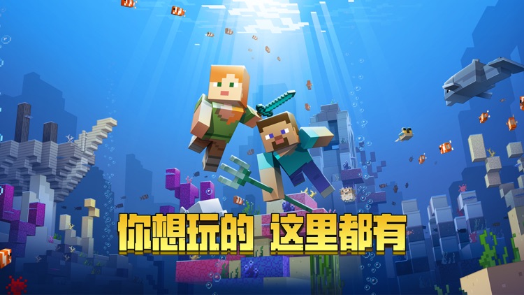 我的世界 screenshot-0