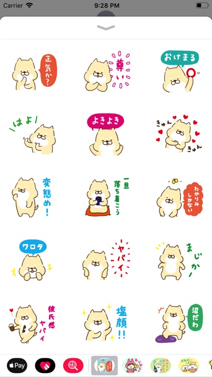 芝犬くん、毎日使える