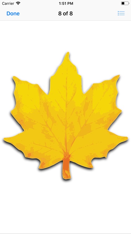 Maple Leaf Stickers screenshot-9