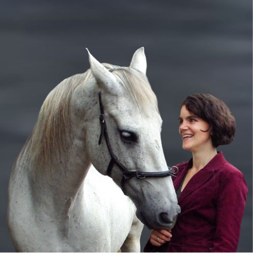 Reitkunst in Göttingen