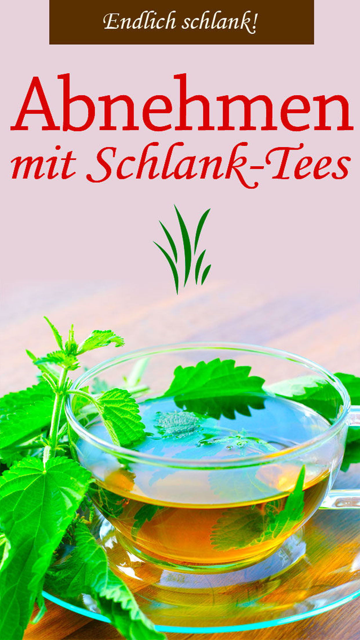 Weight Loss Diet Tea