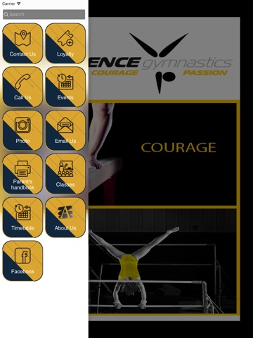 Resilience Gymnastics College screenshot 2