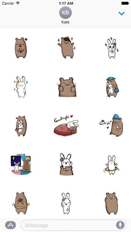 White Bunny and Brown Bear