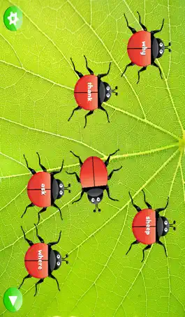 Game screenshot Ladybug Dolch Sight Words hack
