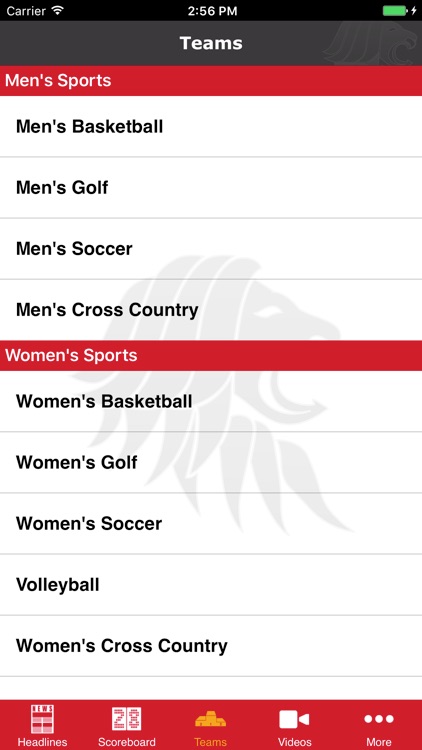University of St. Thomas screenshot-3