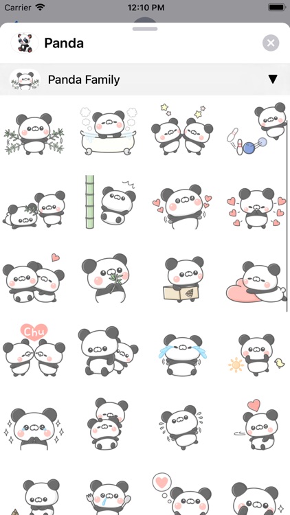 Panda • screenshot-6