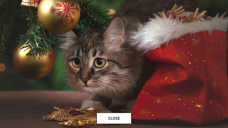 BC Advent Calendar 2018