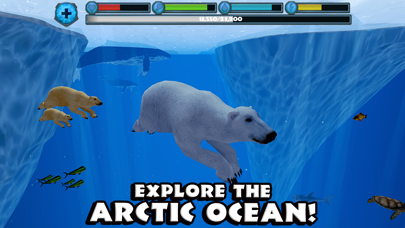 Polar Bear Simulator Screenshot