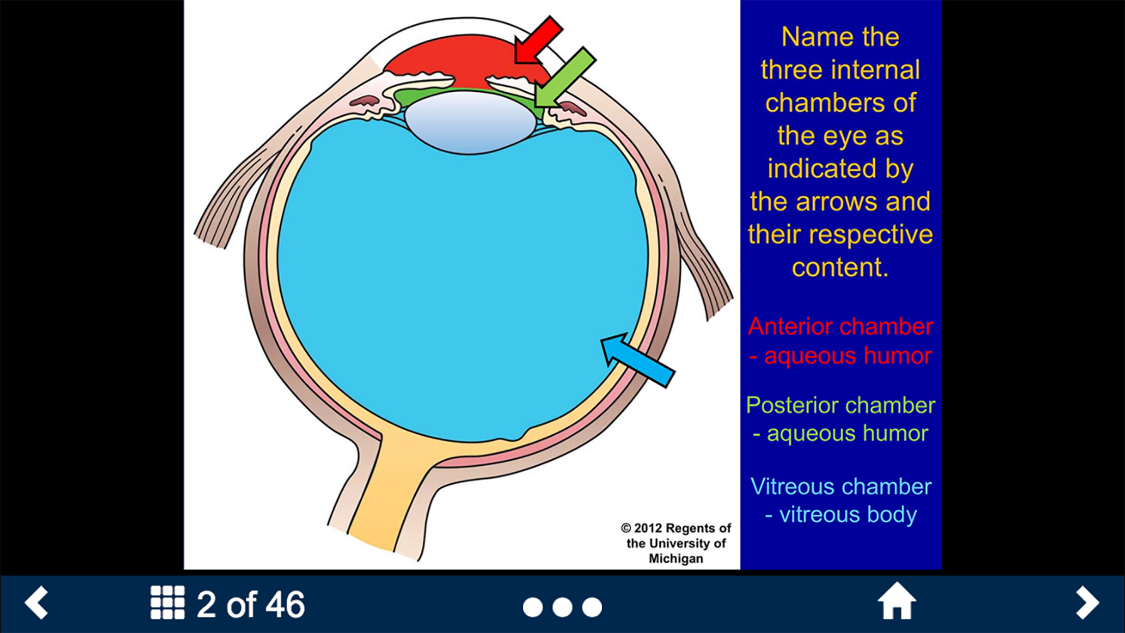 Histology Complete -SecondLook
