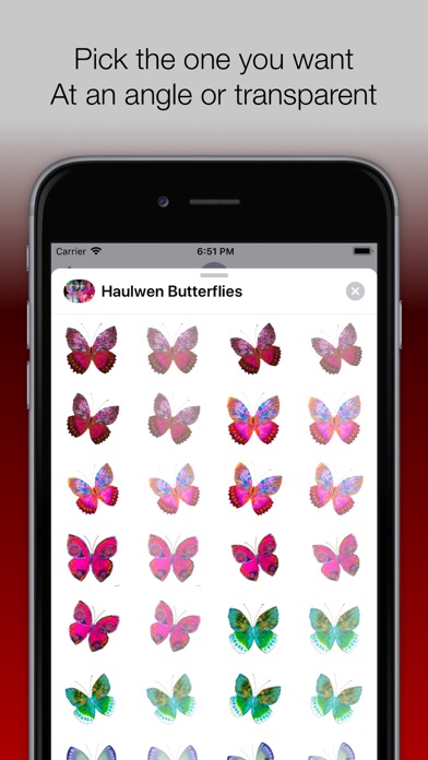 Haulwen Butterflies screenshot 2