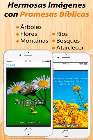 Promesas Biblicas en Imagenes con Citas Biblicas screenshot 2