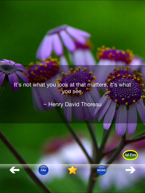 Screenshot #5 pour Inspirational Quotes & Sayings