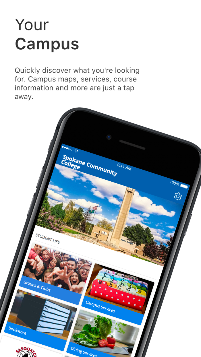 The Bigfoot Experience