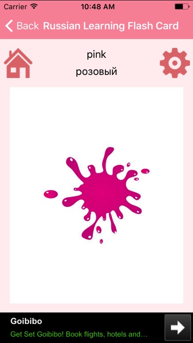 Russian Learning Flash Card screenshot
