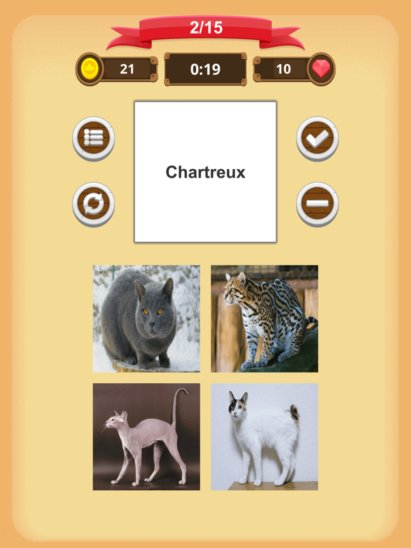 Cats - Quiz iPad screenshot