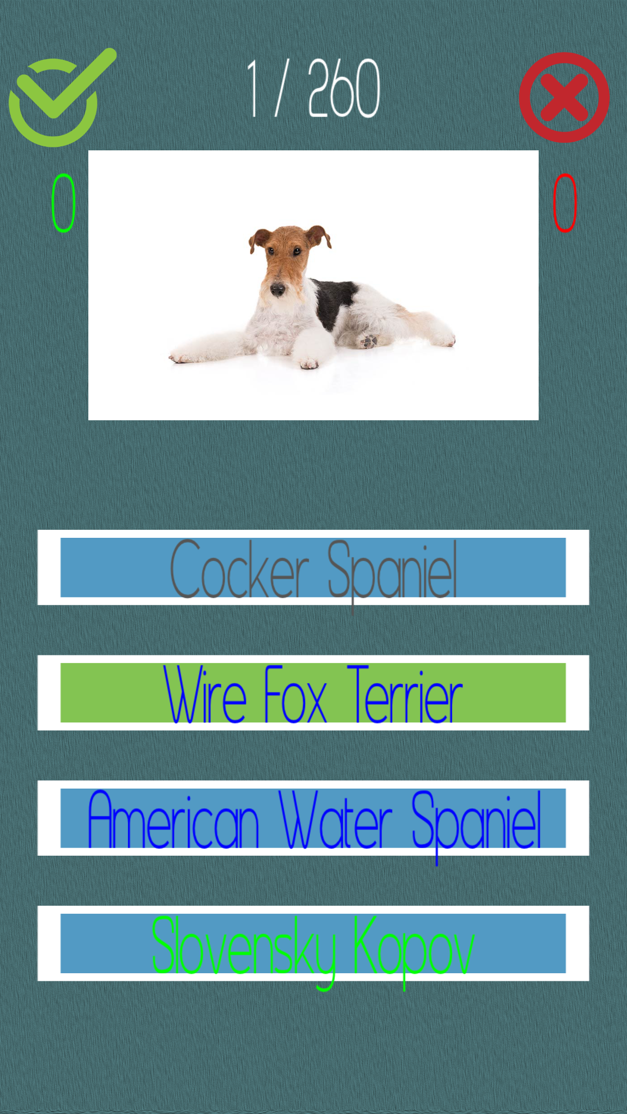 Dog Quiz  (250+ Breeds)