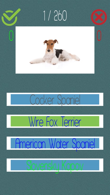 Dog Quiz  (250+ Breeds) screenshot-3