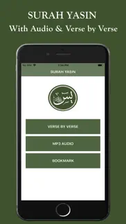 surah yaseen mp3 & translation problems & solutions and troubleshooting guide - 1