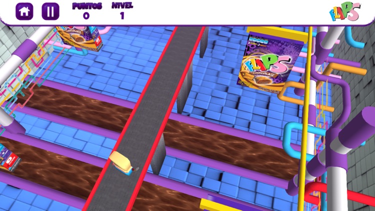 Run Flips Run