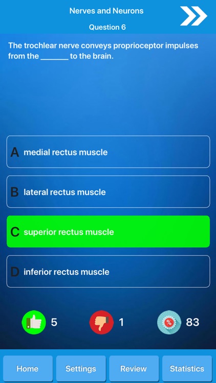 Human Nervous System Anatomy screenshot-4