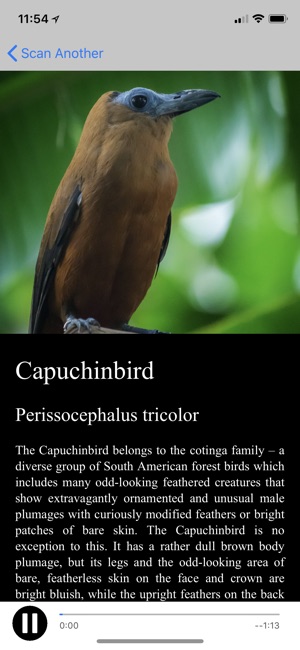World's Best Bird Songs(圖5)-速報App
