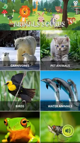Game screenshot Animal Sounds - Piano hack