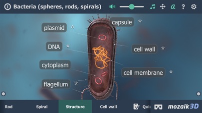 Screenshot #2 pour Bacteria 3D