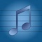 This app contains the most useful and unique tools for guitar players