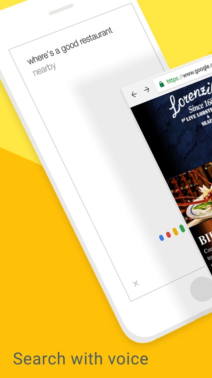 Google Chrome