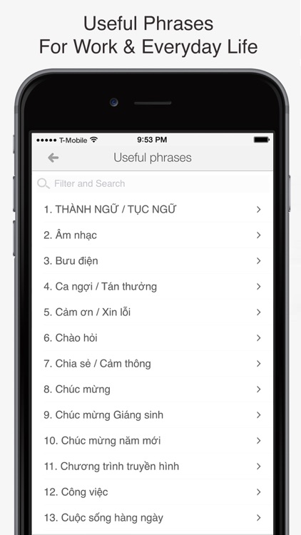 Từ điển Anh - Việt, Việt - Anh screenshot-3
