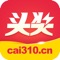cai310