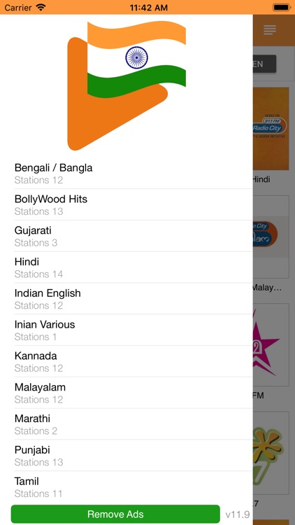 Indian Desi RADIO Music screenshot-4