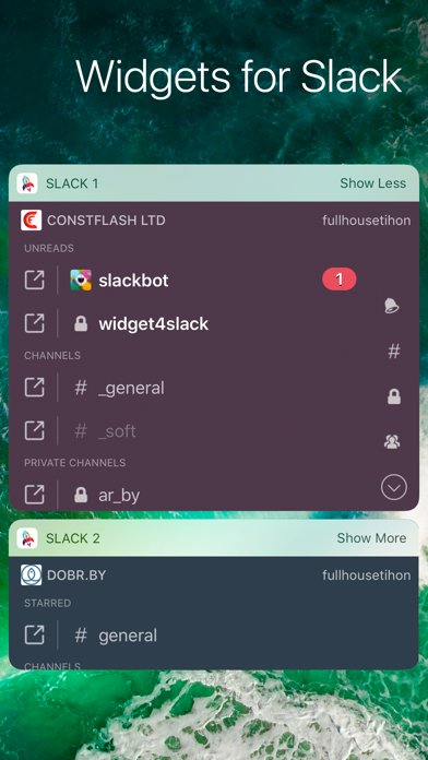 Widget for Slack Liteのおすすめ画像1