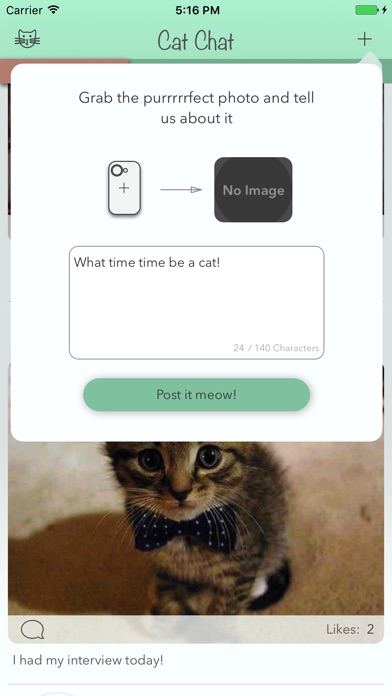 Cat Chat screenshot 4