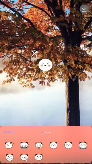 EasyFilterCamera(圖4)-速報App