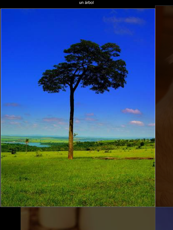 Rebotomy iPad screenshot 3 - Education app