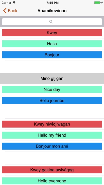Kokom's Translator screenshot-4